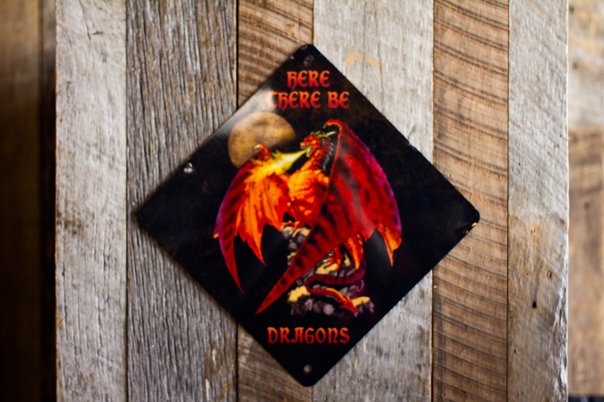 Here There Be Dragons Sign Back Of The Dragon